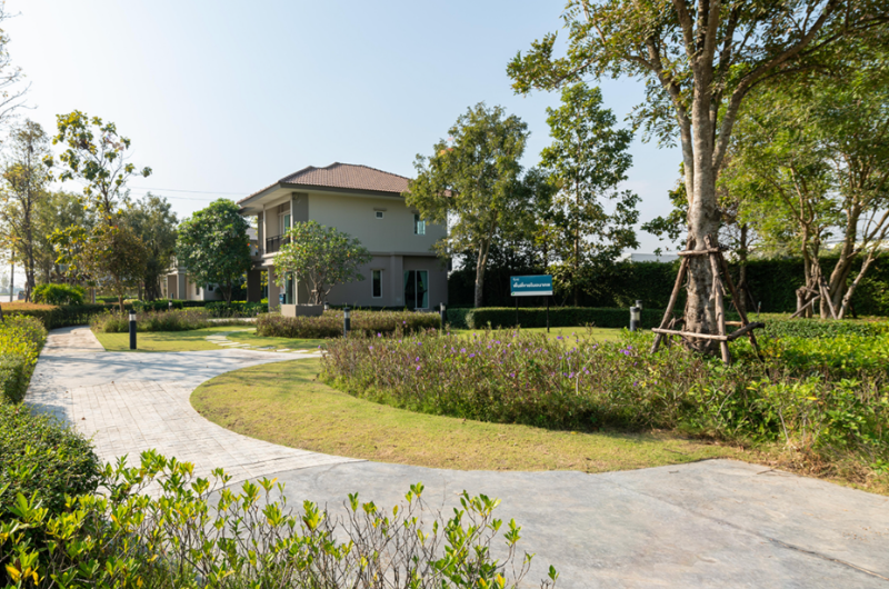 The Plant Kanchana-Bangyai