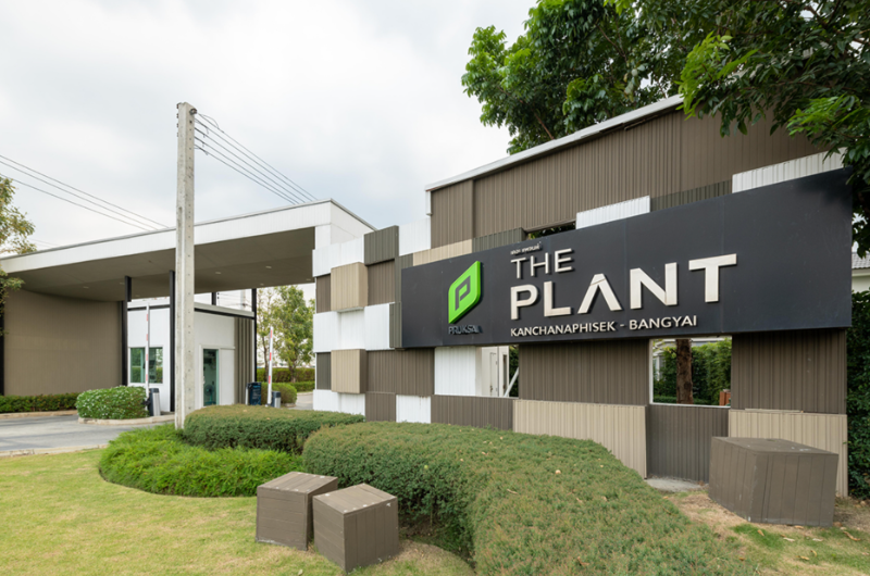 The Plant Kanchana-Bangyai