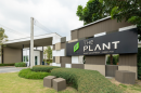 The Plant Kanchana-Bangyai