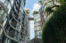 FYNN ASOKE